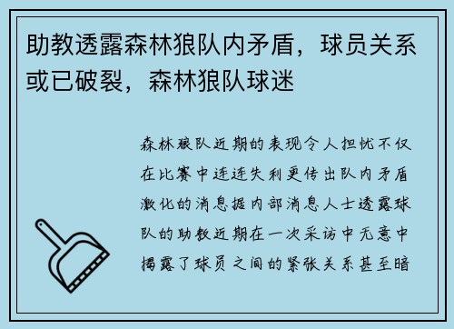 助教透露森林狼队内矛盾，球员关系或已破裂，森林狼队球迷