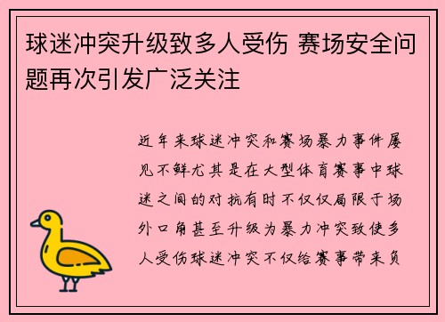 球迷冲突升级致多人受伤 赛场安全问题再次引发广泛关注